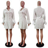EVE Solid Long Sleeve Turndown Collar Shirt Dress WY-6861