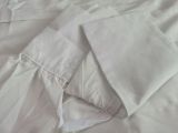 EVE Solid Long Sleeve Turndown Collar Shirt Dress WY-6861