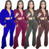 EVE Velvet Strappy Crop Top Flared Pants 2 Piece Sets ANNF-6102