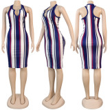 EVE Sleeveless Color Striped Slim Dress FSXF-55