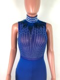 EVE Sleeveless Feather Rhinestone Mesh Perspective Sexy Skinny Jumpsuit OSM-4095