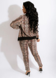 EVE Snake Skin Print Zipper Coat+Tube Top+Pants 3 Piece Sets SHD-9356