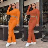 Plus Size Solid Long Sleeve Crop Top And Pants 2 Piece Sets WLDF-80478