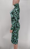EVE Leopard Print Long Sleeve Bodycon Dress XMY-9340