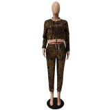 EVE Velvet Sequin Zipper Coat And Pants 2 Piece Sets CM-2169