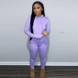 EVE Casual Solid Plush Hoodie 2 Piece Pants Set FSL-F175