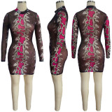 EVE Snake Skin Print Mesh Long Sleeve Club Dress TE-4364