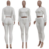 EVE Solid Plush Long Sleeve Two Piece Sets TR-1191