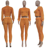 EVE Solid Plush Long Sleeve Two Piece Sets TR-1191