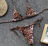 EVE Sexy Leopard Print Bikinis Swimsuit Two Piece Set CSYZ-1986