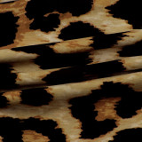 EVE Leopard Print Short Sleeve Sashes Jumpsuit NY-8893