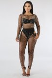 EVE Sexy Mesh Perspective Pearls Two Piece Sets (Without Undergarment)NY-8577
