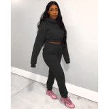 EVE Plus Size Solid Hooded Tracksuit 2 Piece Sets GCNF-0075