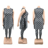EVE Plus Size Printed Split Sleeveless Top And Pants Set PHF-13268