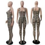 EVE Fashion Mesh Print Bodysuit And Pants Two Piece Set GDYF-6653
