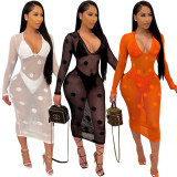 EVE Sexy Mesh See Through Club Dress+Lingerie 3 Piece Sets ORY-Y5190