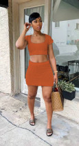 EVE Sexy Knitted Short Sleeve Mini Skirt 2 Piece Sets TR-1198