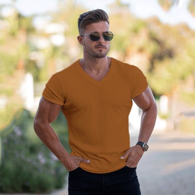 EVE Men's Casual V Neck Short Sleeve T-shirt FLZH-ZT168