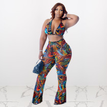 EVE Plus Size Sexy Printed Bra Top And Pants Sets HEJ-6116