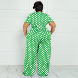 EVE Plus Size Polka Dot Print Two Piece Pants Sets OSIF-22293