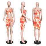 EVE Sexy Printed Beachwear Two Piece Sets WPF-80648