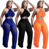 EVE Sexy Halter Crop Top And Pants Two Piece Sets FNN-8675