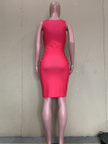 EVE Contrast Color Sleeveless Bodycon Dress ORY-5235