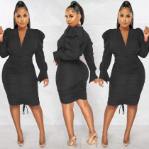 EVE Solid Long Sleeve V Neck Ruched Bodycon Dress BY-5893