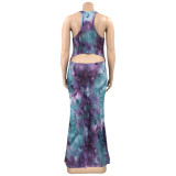 EVE Sexy Printed Sleeveless Maxi Dress OSIF-22412