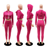 EVE Solid Hooded Crop Top And Pants 2 Piece Sets DDF-8024