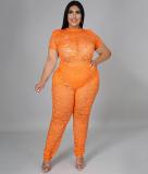 EVE Plus Size Lace See Through Two Piece Pants Sets ME-6107