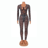 EVE Sexy Mesh Print Bodysuit And Pants Two Piece Set GOSD-OS6261