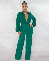 EVE Sexy Solid Deep V Neck Tight Jumpsuit AIL-224