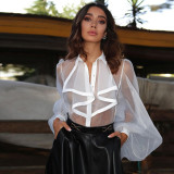 EVE Sexy See Through Bodysuit Puff Sleeves Shirt ZSD-0511