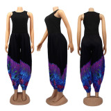 EVE Plus Size Fashion Print Loose Haren Pants SFY-H146