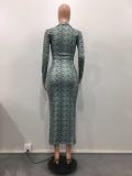 EVE Casual Print O Neck Slim Long Dress OD-8516