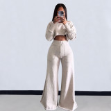 EVE Solid Color Long Sleeve Crop Tops And Loose Pant 2 Piece Set OLYF-6111
