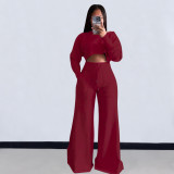 EVE Solid Color Long Sleeve Crop Tops And Loose Pant 2 Piece Set OLYF-6111