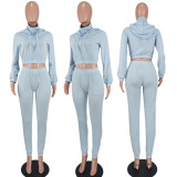 EVE Casual Solid Hooded Coat And Pant Two Piece Set YD-1099