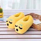 EVE Cute Emoji Home Warm Plush Slippers GJCF-L003