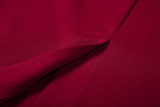 EVE Solid Color Elegant Long Sleeve Slim Midi Dress GYME-1735138
