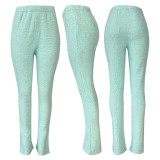 EVE Solid Color Plush Casual Micro Flare Pants CH-23011