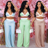 EVE Sexy Bra And Wide Leg Pant Two Piece Set XHSY-19551