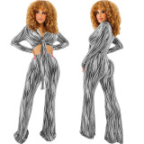 EVE Sexy Fashion Two Piece Pants Set SMR-11573_1