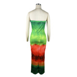 EVE Printed Wrap Chest Nightclub Long Dress TE-4624