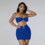 EVE Sexy Solid Tube Tops And Skirts Two Piece Set YD-8712