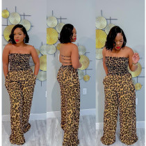 EVE Leopard Print Backless Wide Leg Jumpsuit BN-9428