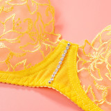 EVE Chain Lace Sexy Erotic Lingerie Bra Set GAXL-2033