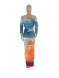 EVE Long Sleeve Print Off Shoulder Mesh Pleated Maxi Dress ZDF-31283