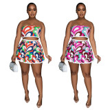 EVE Sexy Print Wrap Chest And Pleated Skirt Two Piece Set YF-10566